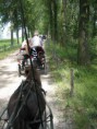 /album/menrit-04-06-2011/zeeuwse-menrit-juni-2011-023-jpg/